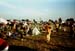antaris_02_04